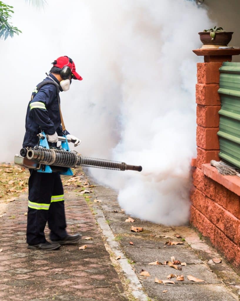 Bed Bug Exterminating Experts in NYC.