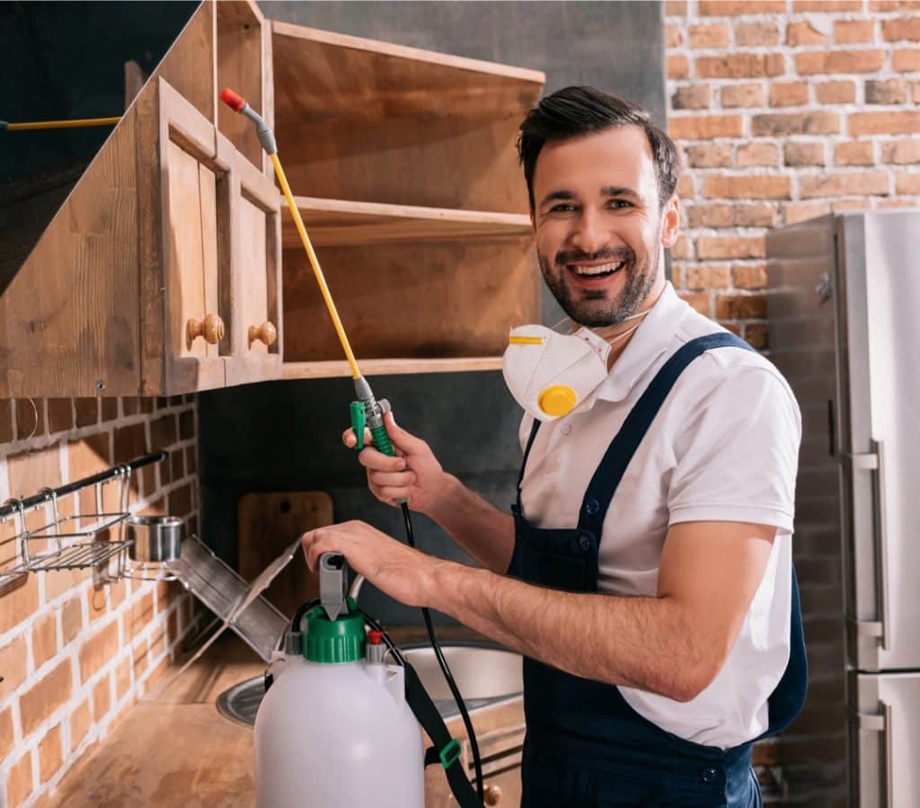 Ace Bed Bug Exterminating